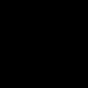 Meet your Posher, Lily